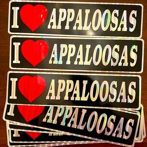 Appaloosa Horse Equestrian Bumper Stickers